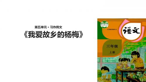 部编版三年级语文上册习作例文《我爱故乡的杨梅》教学PPT