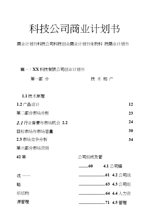 科技公司商业计划书.doc