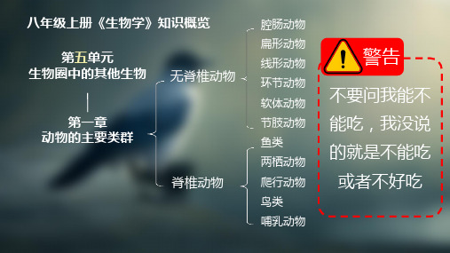 5.1.1腔肠动物和扁形动物课件(共23张PPT)人教版八年级上册