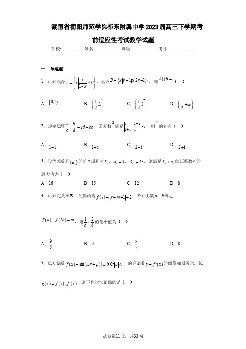 湖南省衡阳师范学院祁东附属中学2023届高三下学期考前适应性考试数学试题