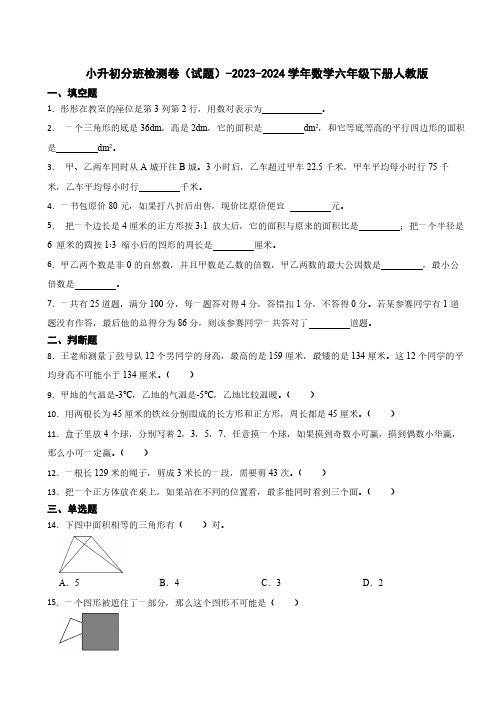 小升初分班检测卷(试题)(含答案)-2023-2024学年数学六年级下册人教版