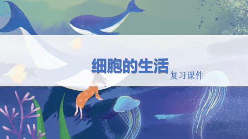 人教版七年级生物上册 《细胞的生活》精品复习课件