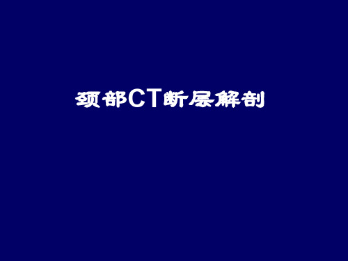 颈部CT断层解剖