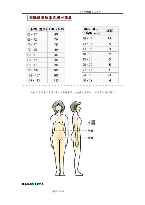 国际通用胸罩尺码对照表和他