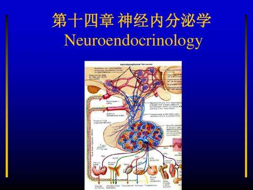 神经内分泌学