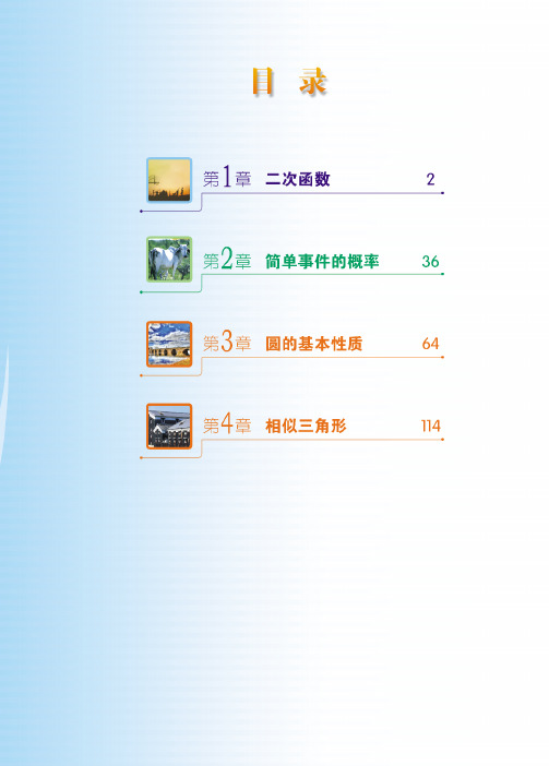 新浙教版数学九上