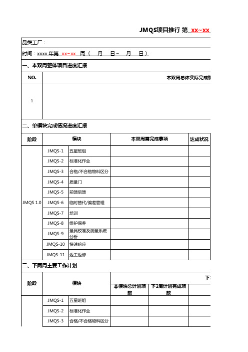 项目改善双周汇报模板