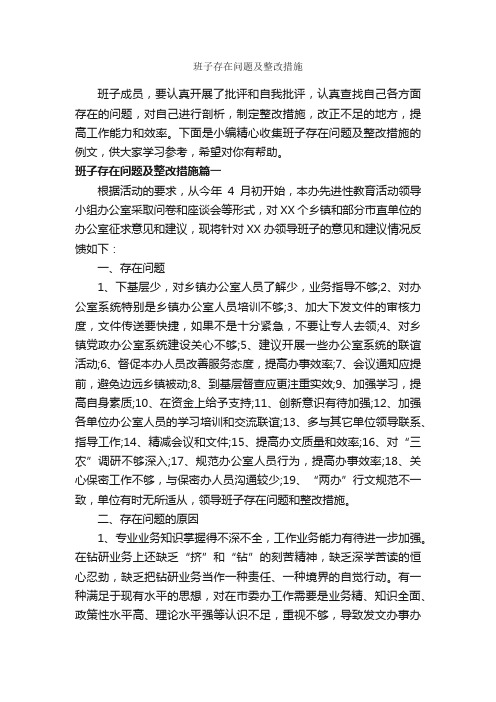 班子存在问题及整改措施_整改措施_