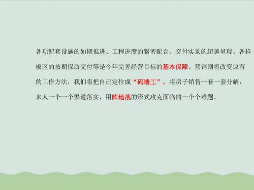 项目营销策略与销售保障措施ppt(共16页)