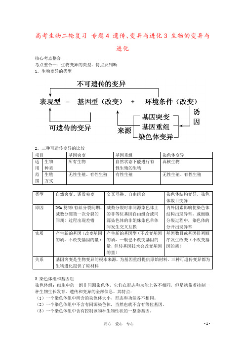 高考生物二轮复习 专题4 遗传、变异与进化3 生物的变异与进化