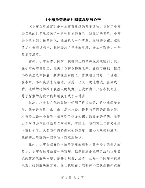 《小布头奇遇记》阅读总结与心得