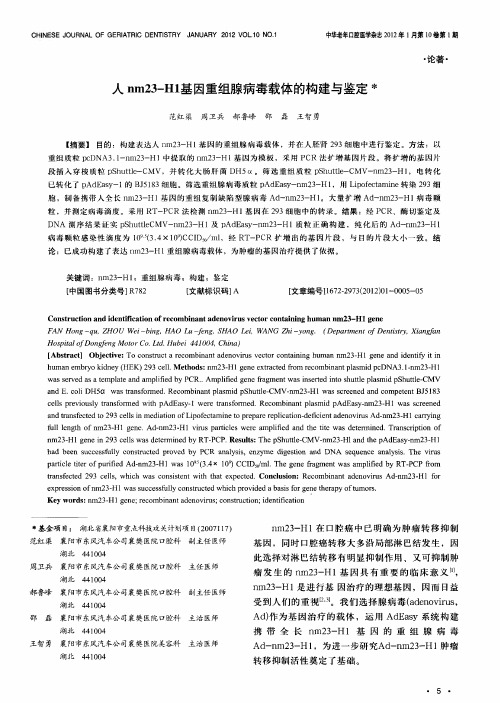 人nm23-H1基因重组腺病毒载体的构建与鉴定