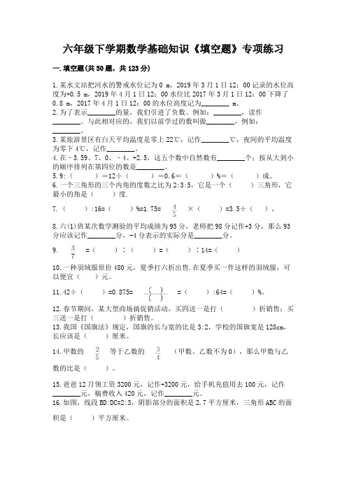 六年级下学期数学基础知识《填空题》专项练习(考点精练)