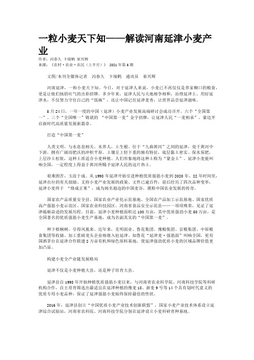 一粒小麦天下知——解读河南延津小麦产业