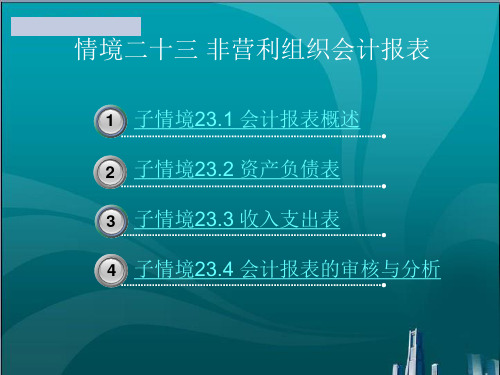 非营利组织会计报表