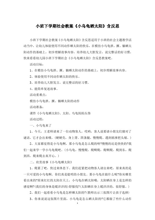 小班下学期社会教案《小乌龟晒太阳》含反思