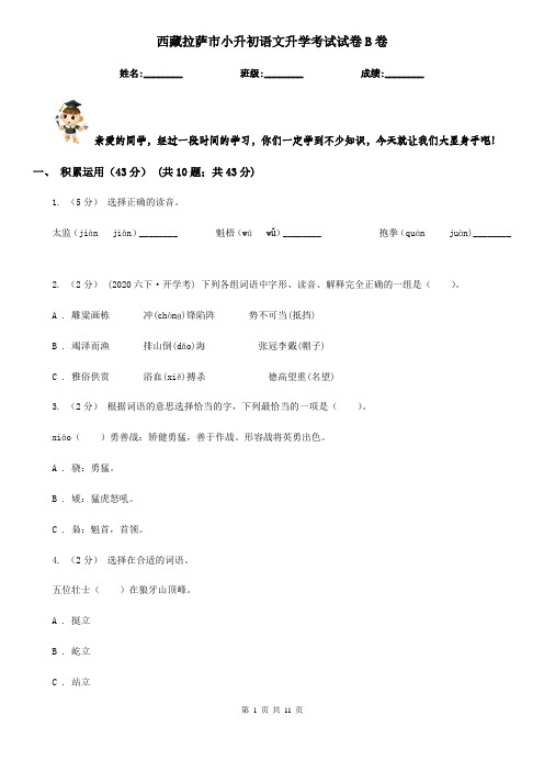 西藏拉萨市小升初语文升学考试试卷B卷