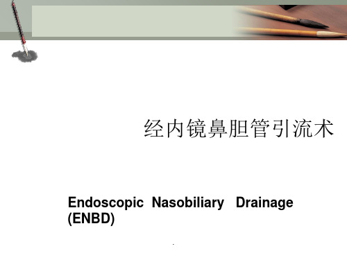 鼻胆管护理ppt课件