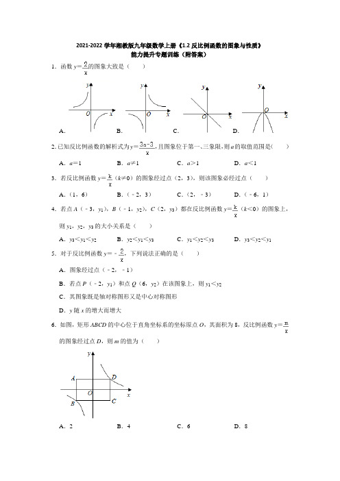 反比例函数的图象与性质 能力提升专题训练 2021-2022学年湘教版九年级数学上册