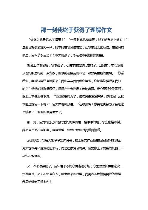 那一刻我终于获得了理解作文