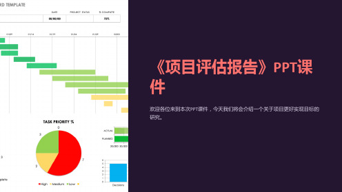 《项目评估报告》PPT课件