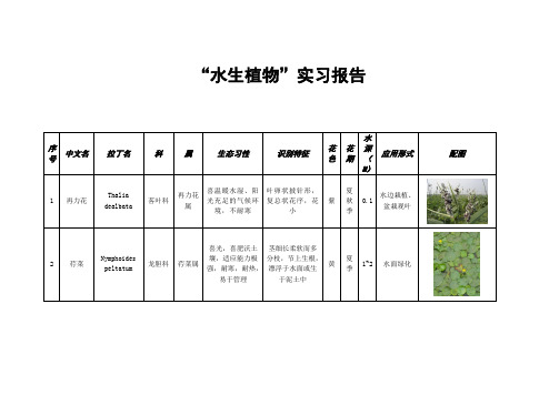 北京常见水生植物实习报告