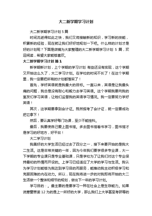 大二新学期学习计划