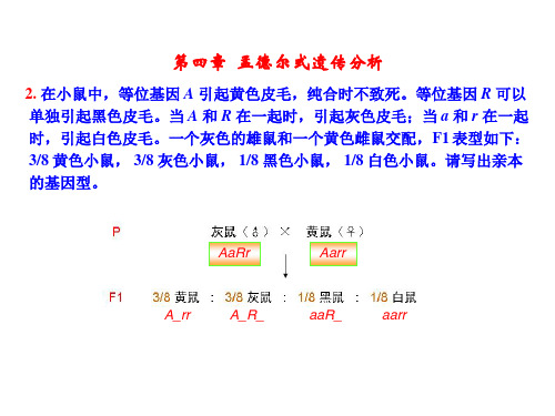 遗传学_第二版_课后部分答案(4~8章)_-课件