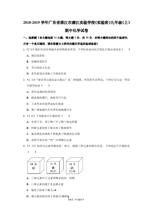 2018-2019学年广东省湛江市廉江实验学校(实验班)九年级(上)期中化学试卷