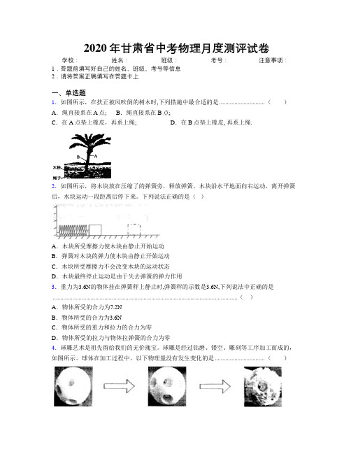 2020年甘肃省中考物理月度测评试卷附解析