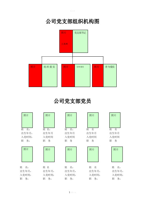 公司党支部组织机构图