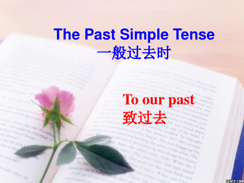 人教版七年级下语法教学：一般过去时(Present SimpleTense)课件(共23张ppt)