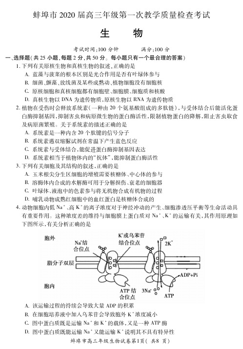 [首发]安徽省蚌埠市2020届高三9月月考生物试题(PDF版)