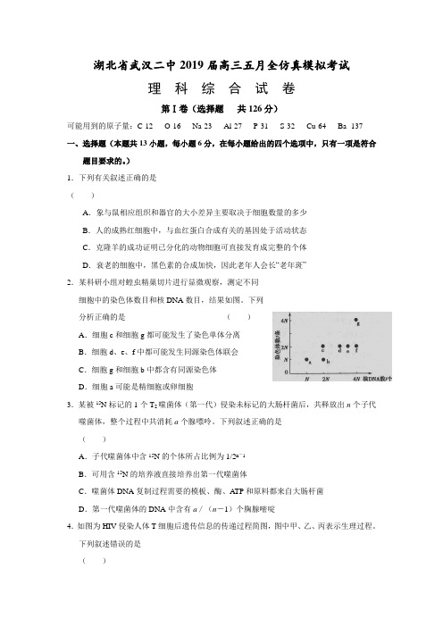 湖北省武汉市第二中学2019届高三5月仿真模拟理科综合试题(带答案解析)