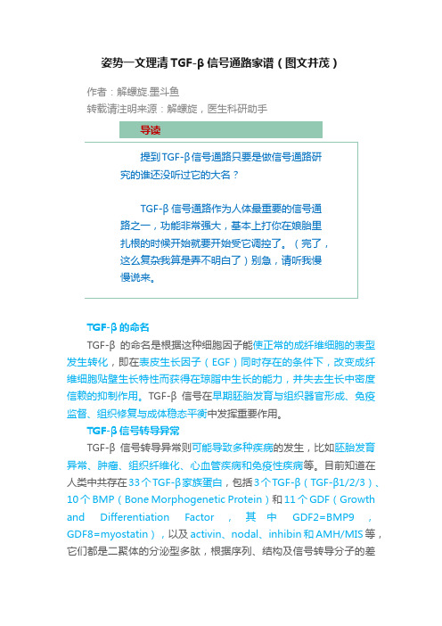 姿势一文理清TGF-β信号通路家谱（图文并茂）