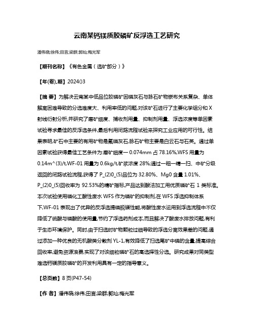 云南某钙镁质胶磷矿反浮选工艺研究