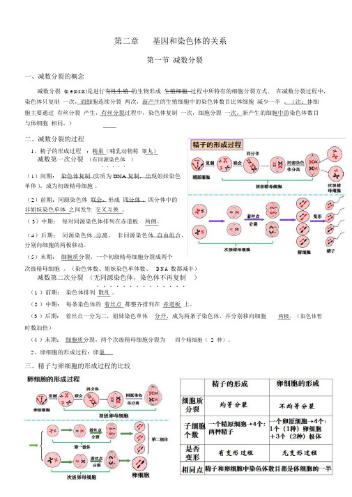 高中生物必修二-第二章-知识点总结