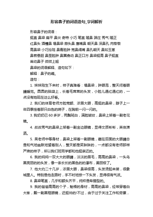 形容鼻子的词语造句_字词解析