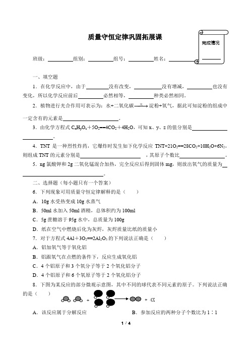 人教版九年级化学上册：5.1 质量守恒定律  巩固拓展课  学案(含答案)