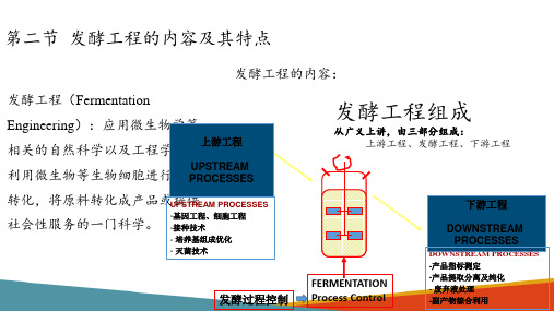 发酵工程的内容及其特点