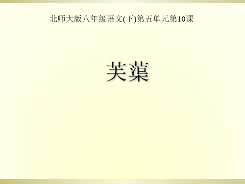 【北师大版】语文八年级下册:第10课《芙蕖》ppt课件(2)