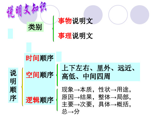 说明文11《中国石拱桥》分析