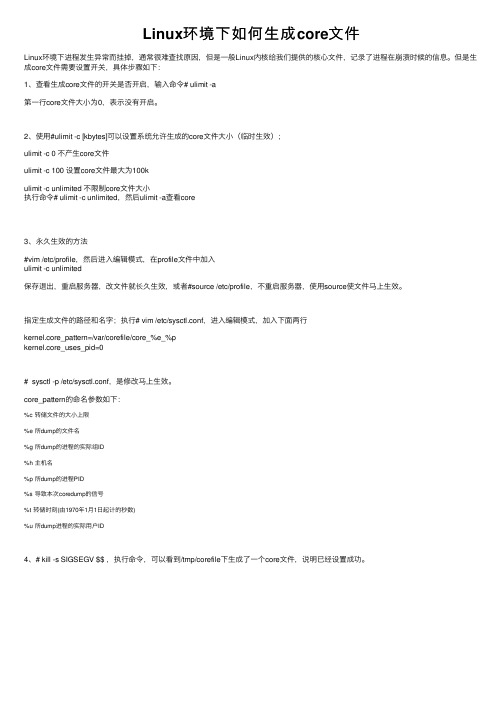 Linux环境下如何生成core文件
