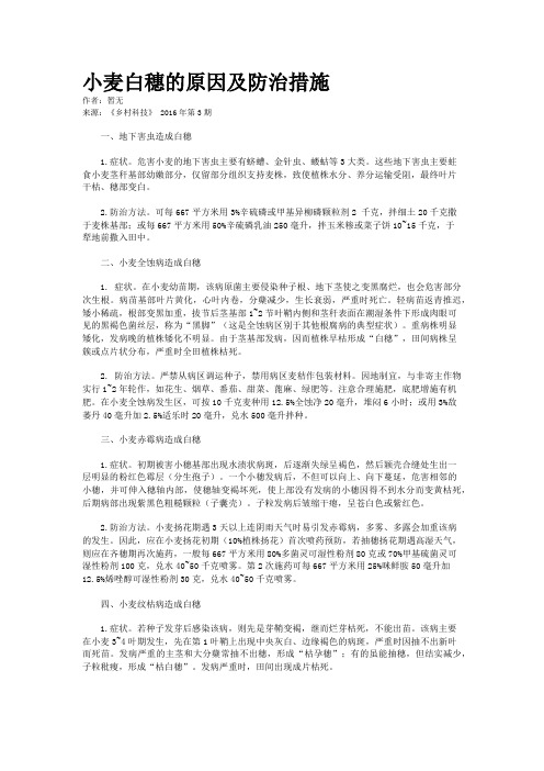 小麦白穗的原因及防治措施