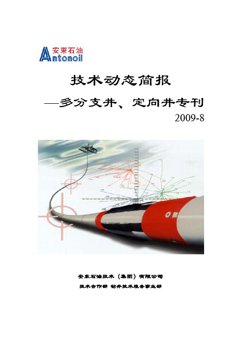 钻井专辑(多分支井、定向井专题)16期技术动态简报