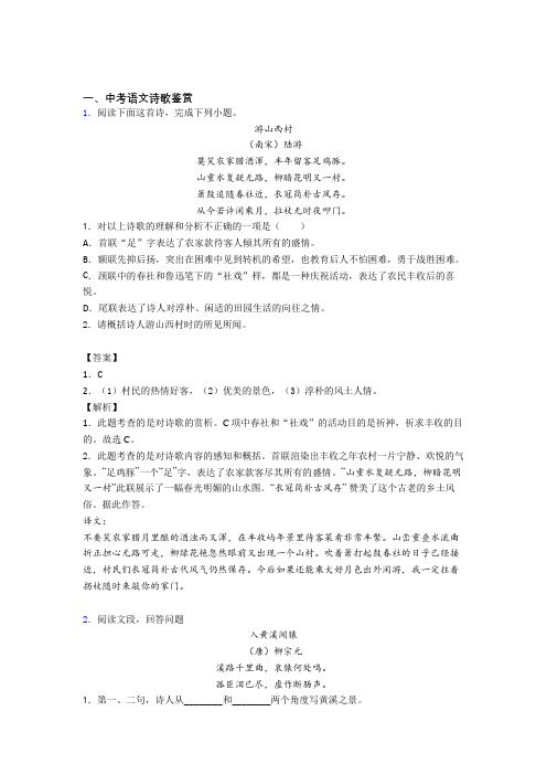 2020-2021中考语文二模试题分类汇编——诗歌鉴赏综合附答案