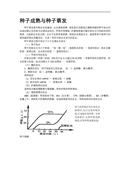 种子成熟与种子萌发