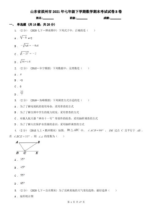 山东省滨州市2021年七年级下学期数学期末考试试卷B卷