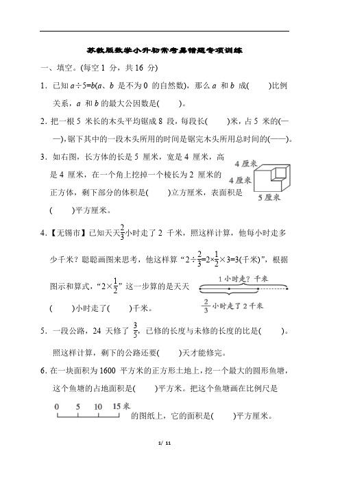 苏教版数学小升初常考易错题专项训练含答案