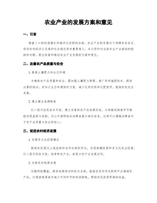 农业产业的发展方案和意见 (3)